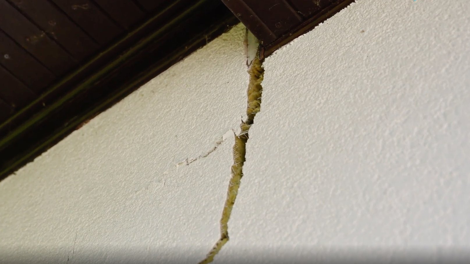 Monosnap Search results - Google Drive 2025-10-20 15-48-45 (1)